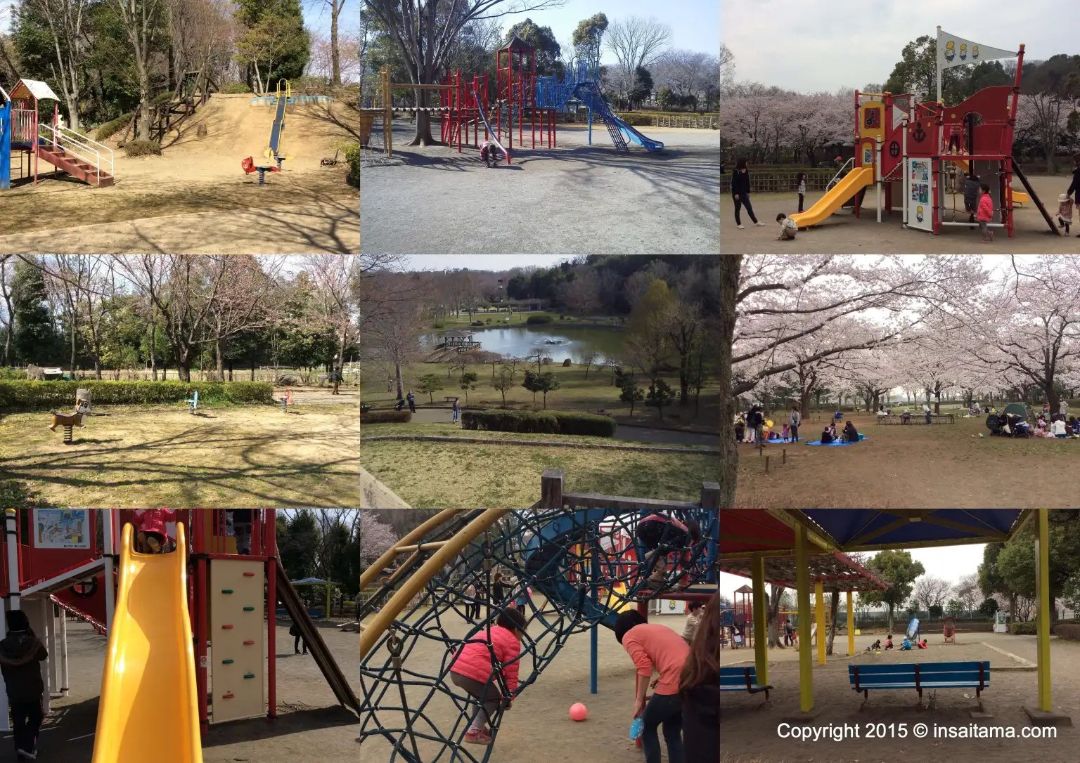 🏞️ 시로야마 공원(시로야마코엔) 이미지 6